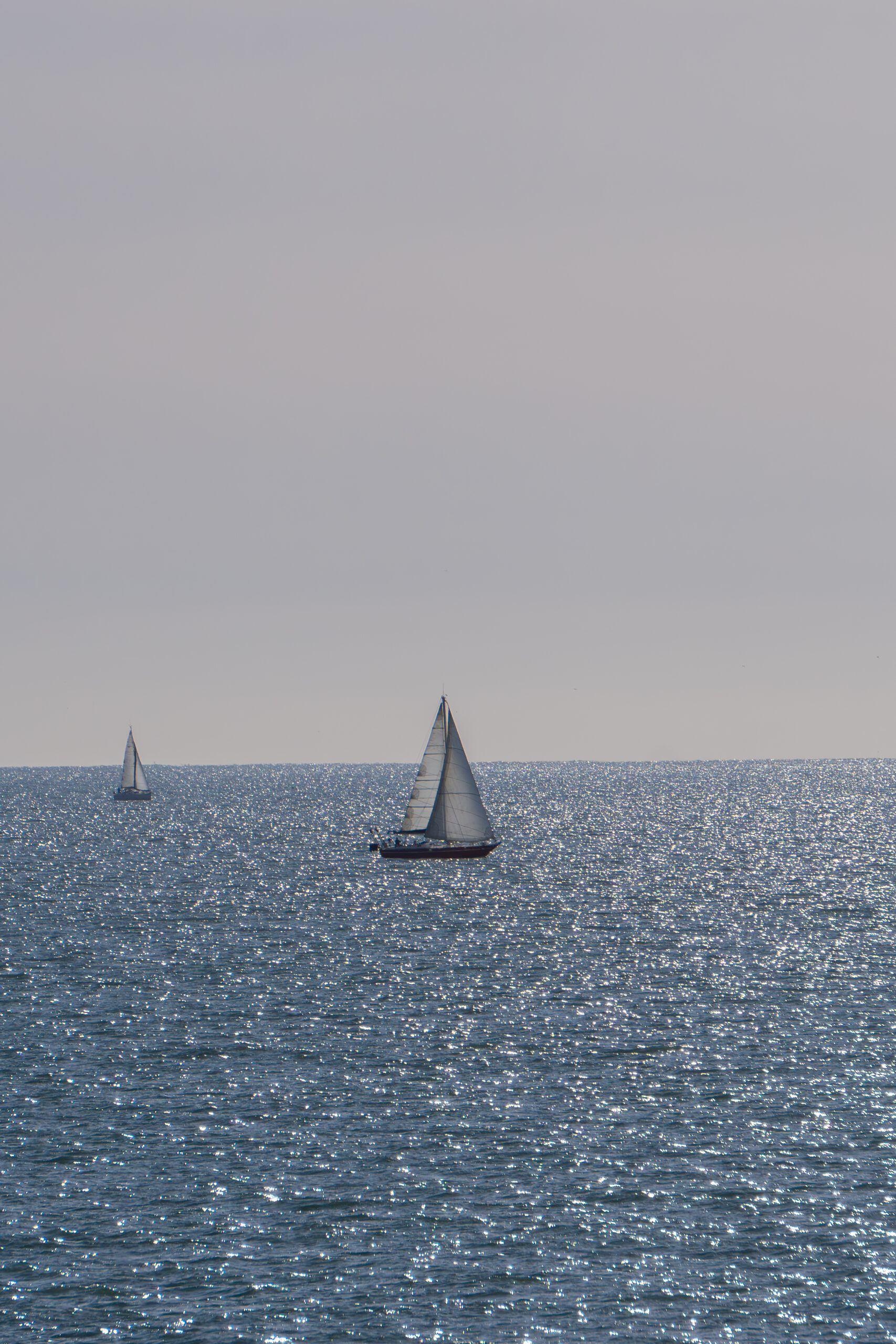 DSC02763-Avec accentuation-Bruit